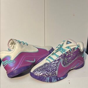 NWOB LEBRON XXII Size 11